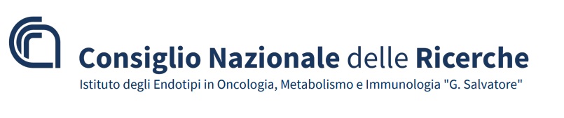 cnr napoli g salvatore