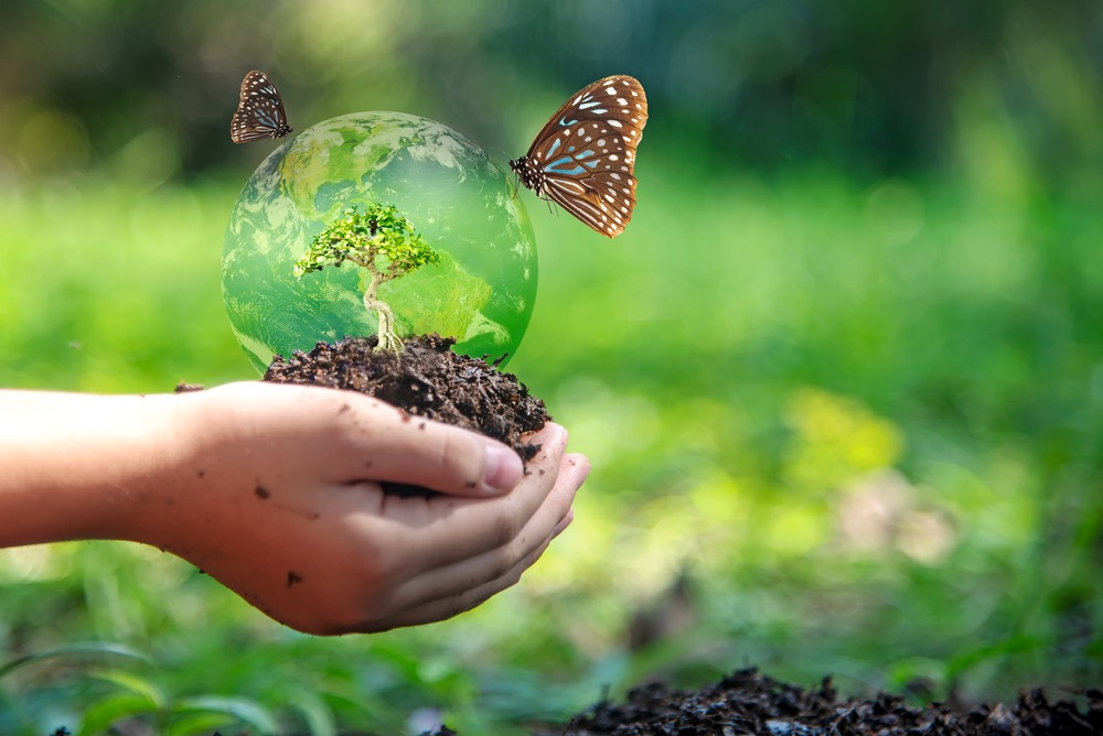 © Freebird7977/shutterstock.com – Riproduzione riservata